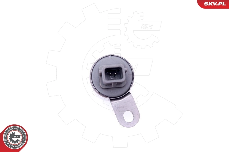 Control Valve, camshaft adjustment 39SKV053