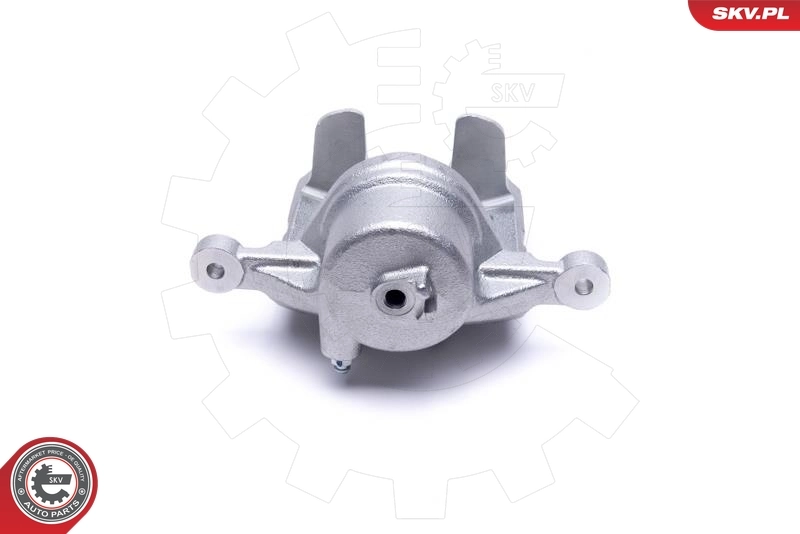 Brake Caliper 46SKV842