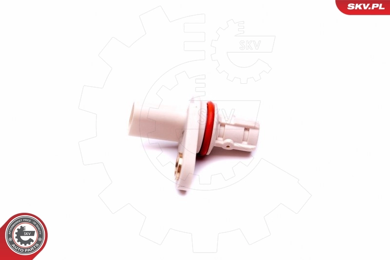 Sensor, camshaft position 17SKV497