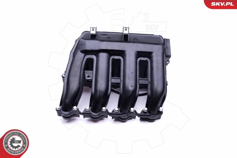 ESEN SKV 49SKV017 Intake Manifold Module