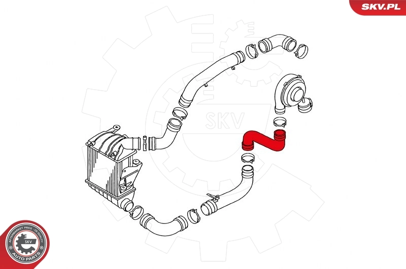 Charge Air Hose 24SKV648