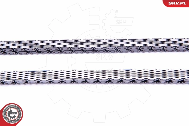 Timing Chain Kit 21SKV161