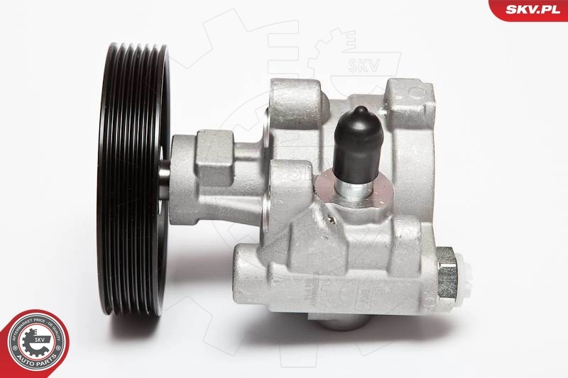 Hydraulic Pump, steering 10SKV068