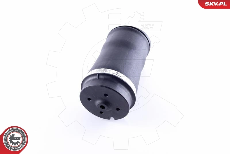 Air Spring, suspension 58SKV025