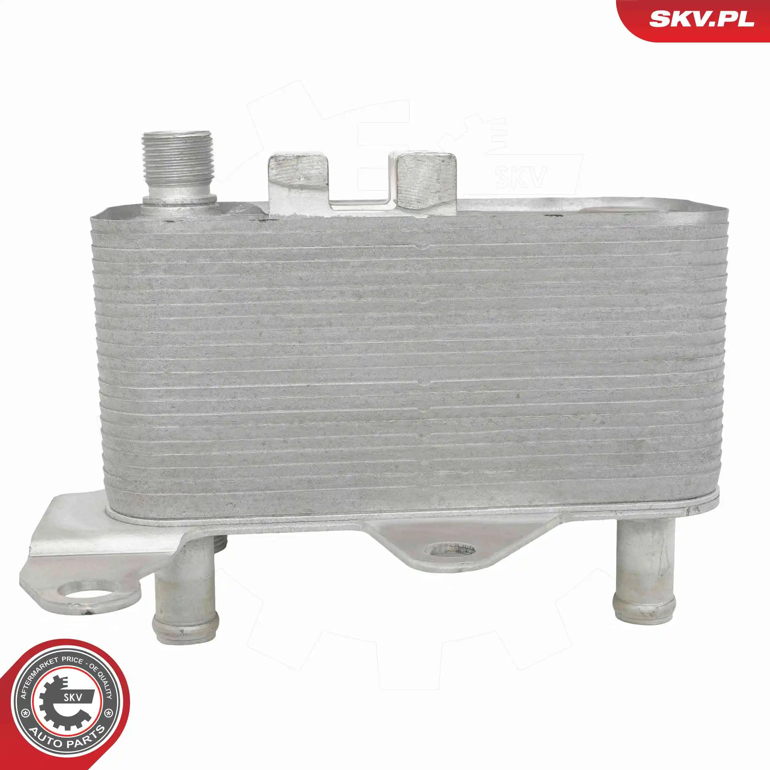 Oil Cooler, engine oil 31SKV363