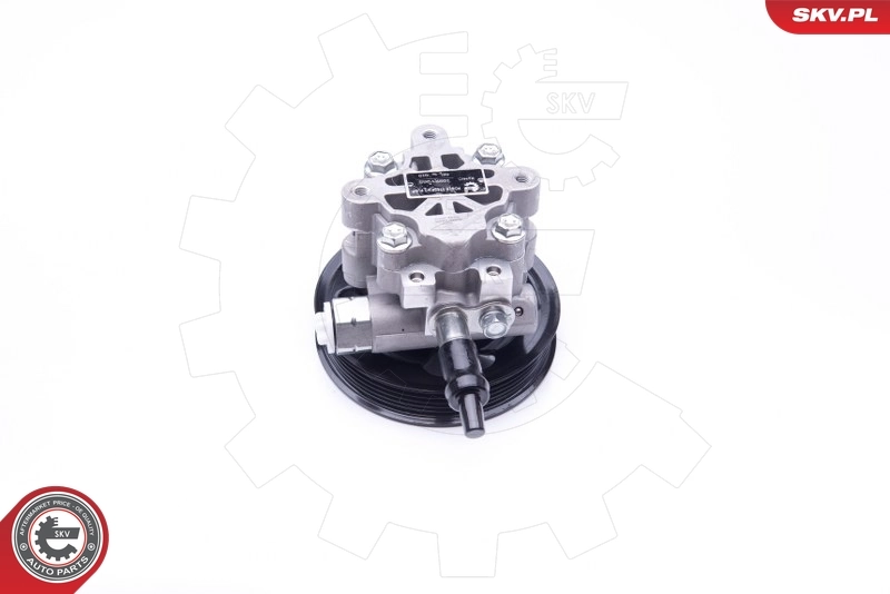 Hydraulic Pump, steering 10SKV265