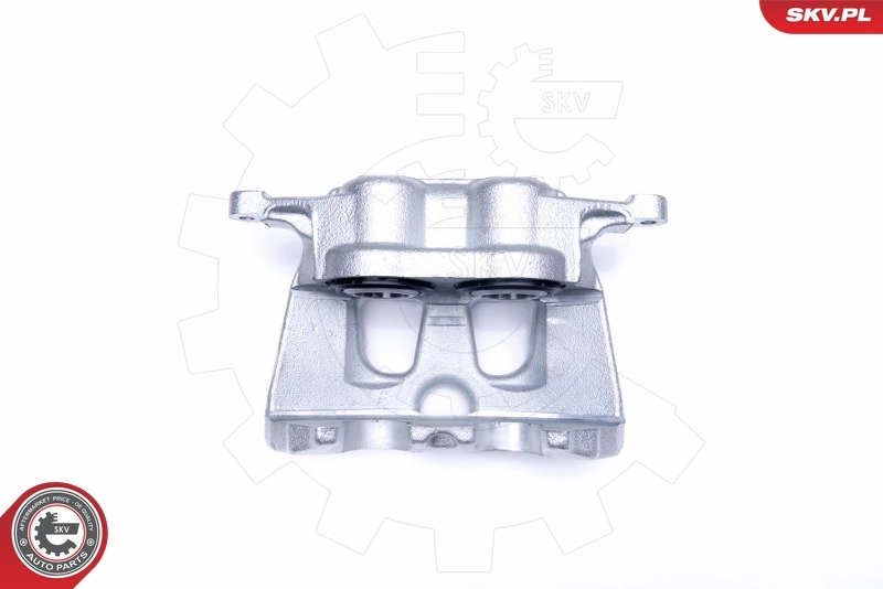 Brake Caliper 44SKV201