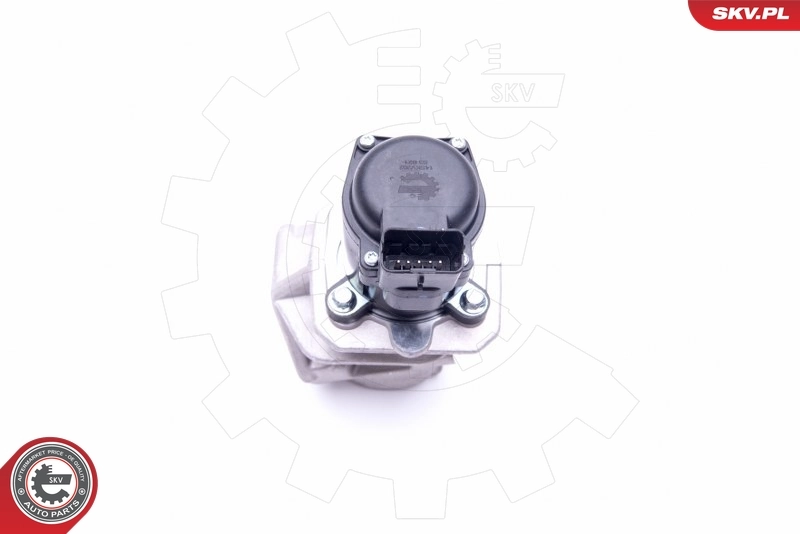 EGR Valve 14SKV202