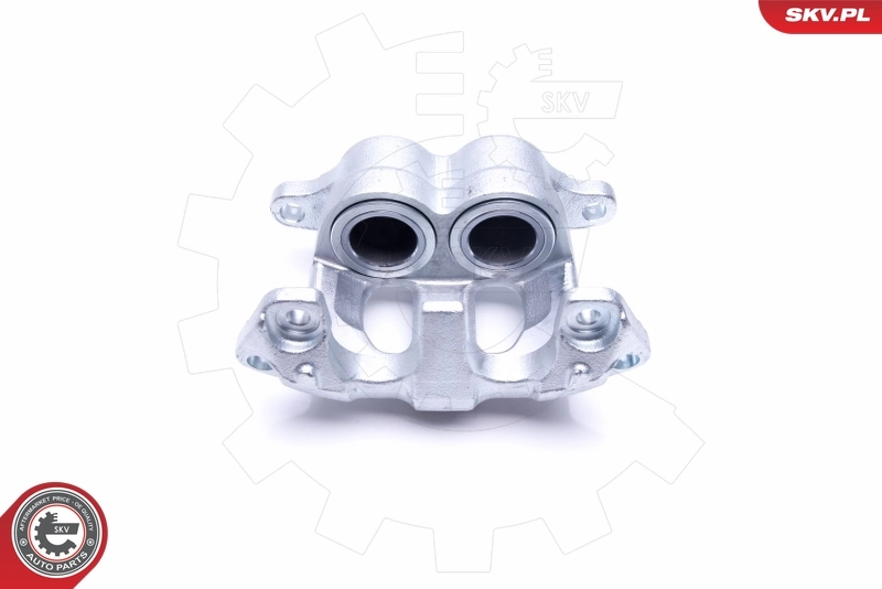 Brake Caliper 46SKV091