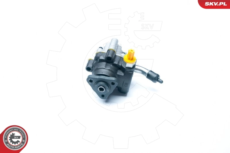 Hydraulic Pump, steering 10SKV189