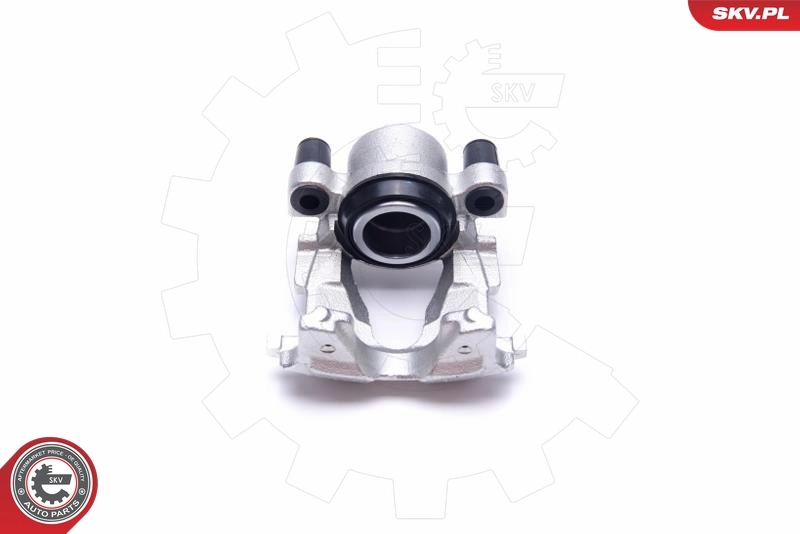Brake Caliper 55SKV731