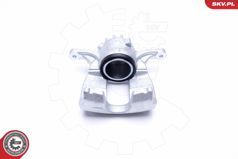 Brake Caliper 46SKV231