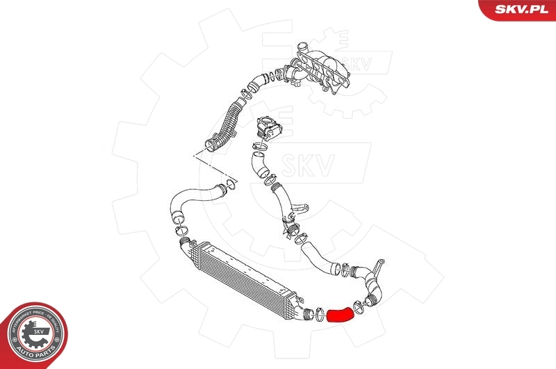 Charge Air Hose 43SKV245
