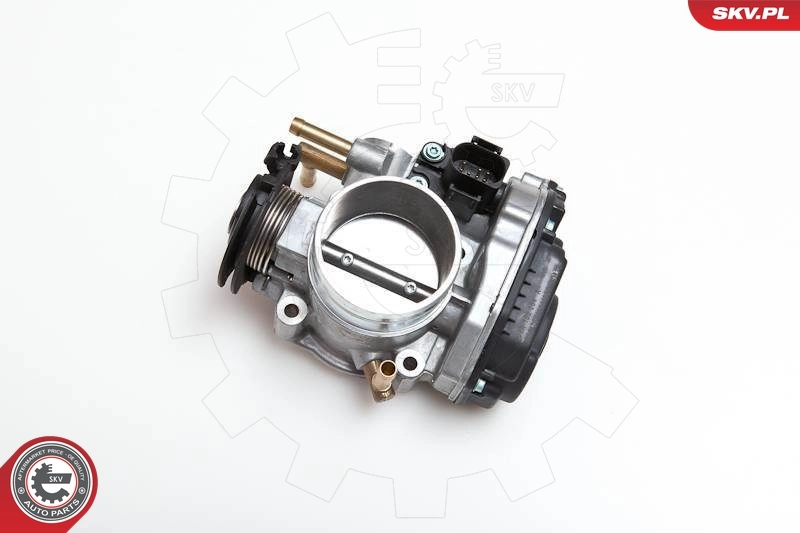 Throttle Body 12SKV009