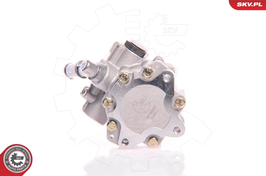 Hydraulic Pump, steering 10SKV161