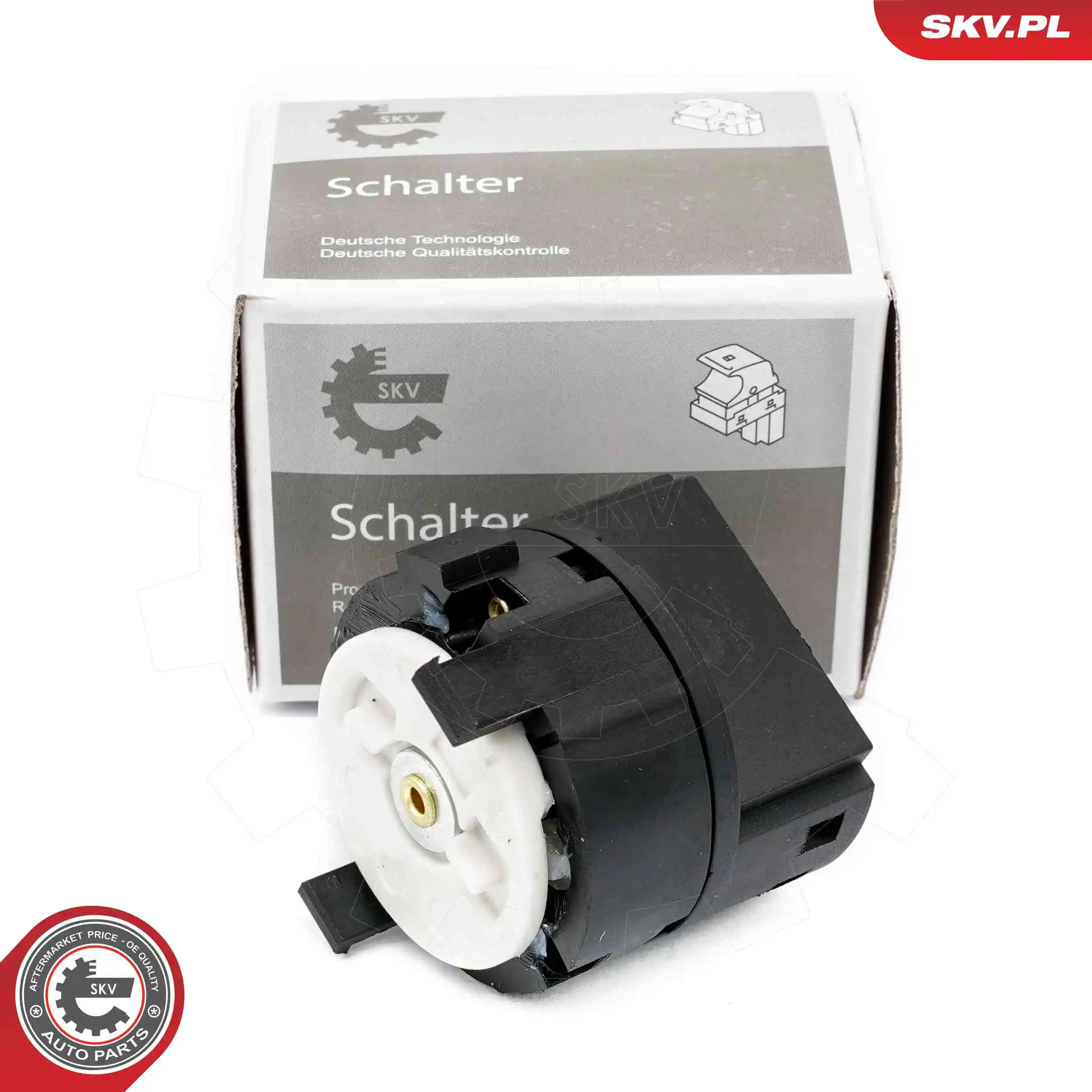 Ignition Switch 65SKV011