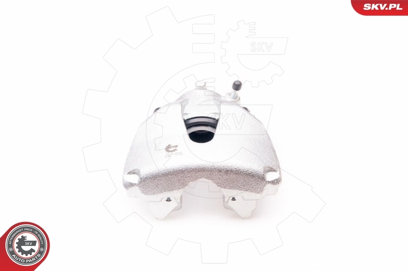 Brake Caliper 23SKV055
