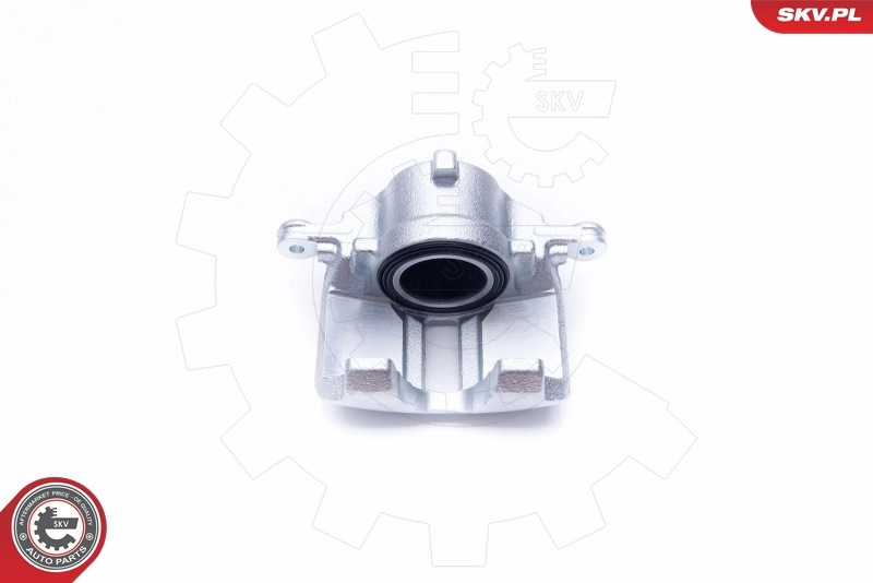 Brake Caliper 42SKV182