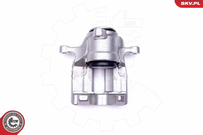 Brake Caliper 44SKV033