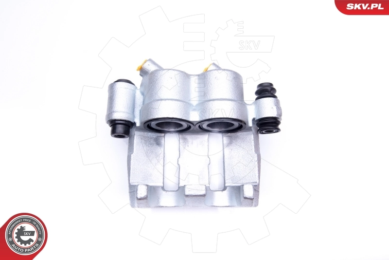 Brake Caliper 42SKV071
