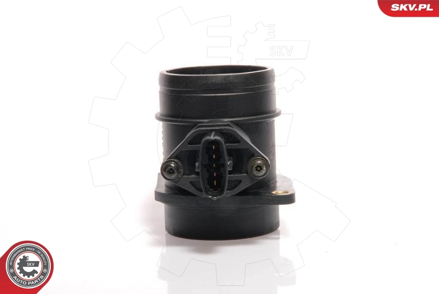 Mass Air Flow Sensor 07SKV037