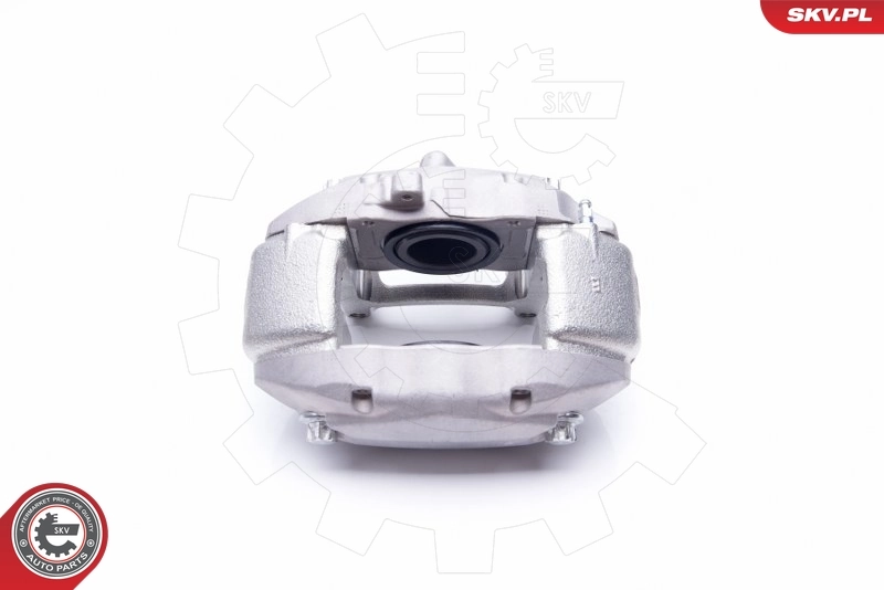 Brake Caliper 42SKV452