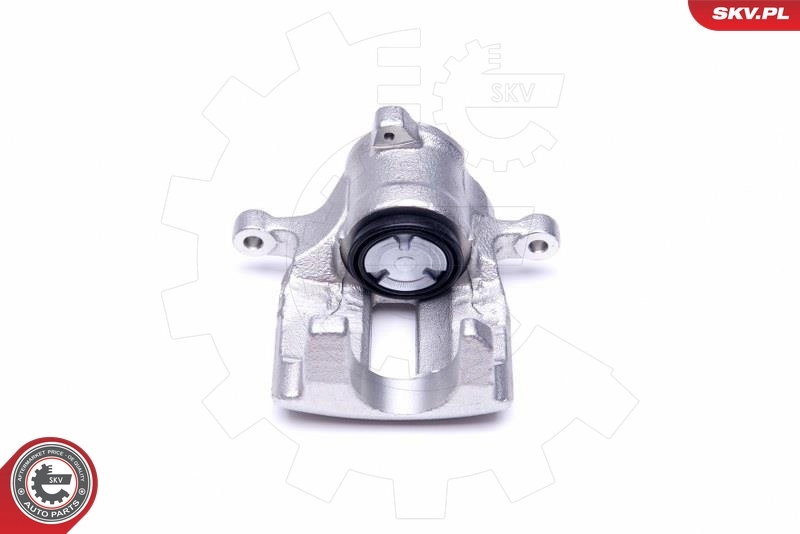 Brake Caliper 44SKV033