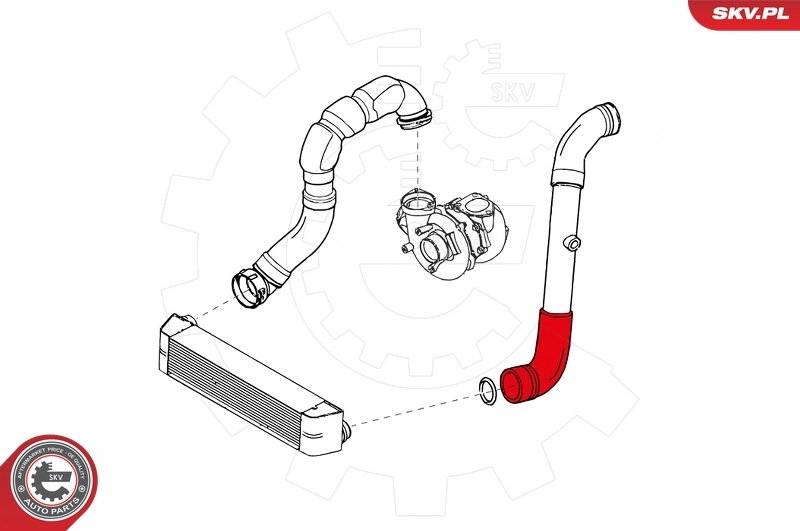 Charge Air Hose 43SKV386