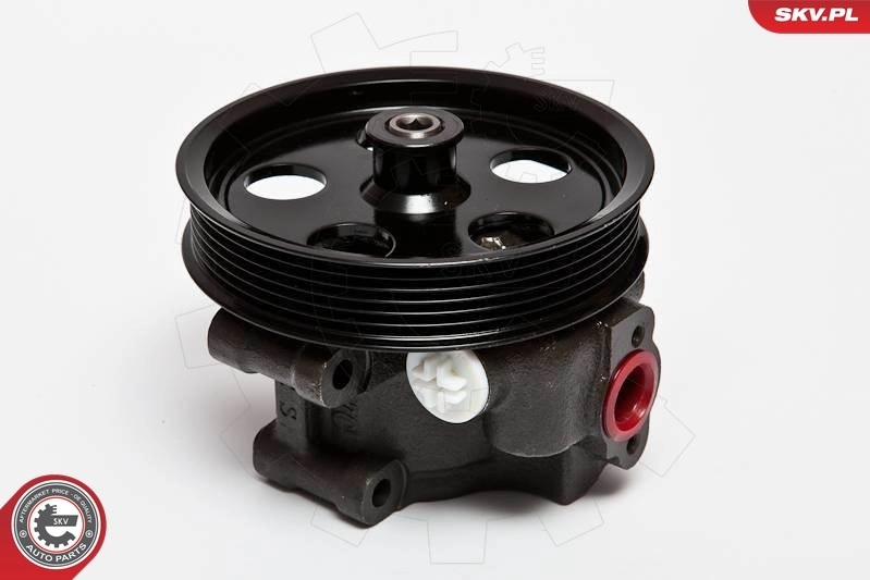 Hydraulic Pump, steering 10SKV067