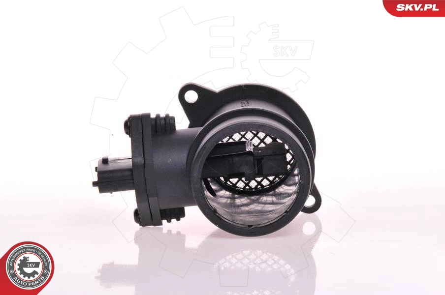 Mass Air Flow Sensor 07SKV087