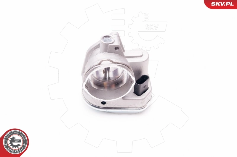 Throttle Body 12SKV055