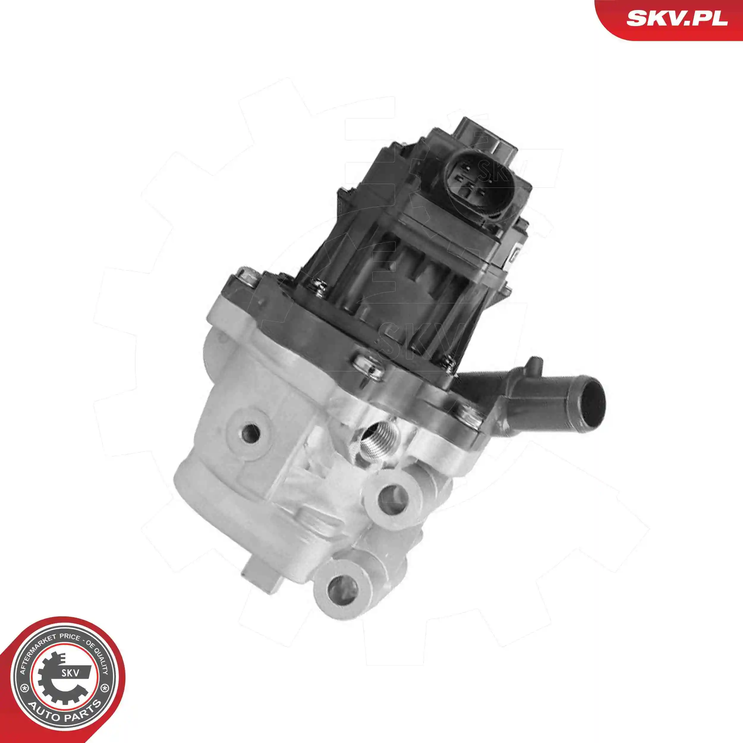 EGR Valve 14SKV301