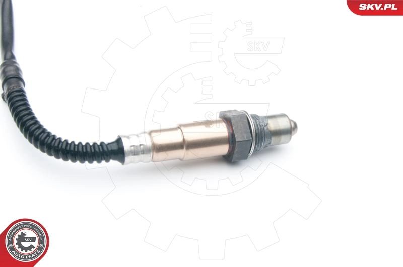 Oxygen Sensor 09SKV641