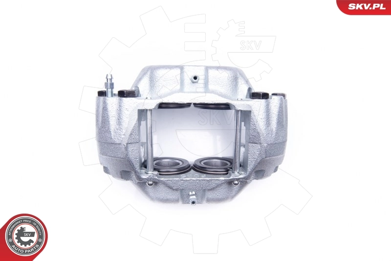 Brake Caliper 42SKV001