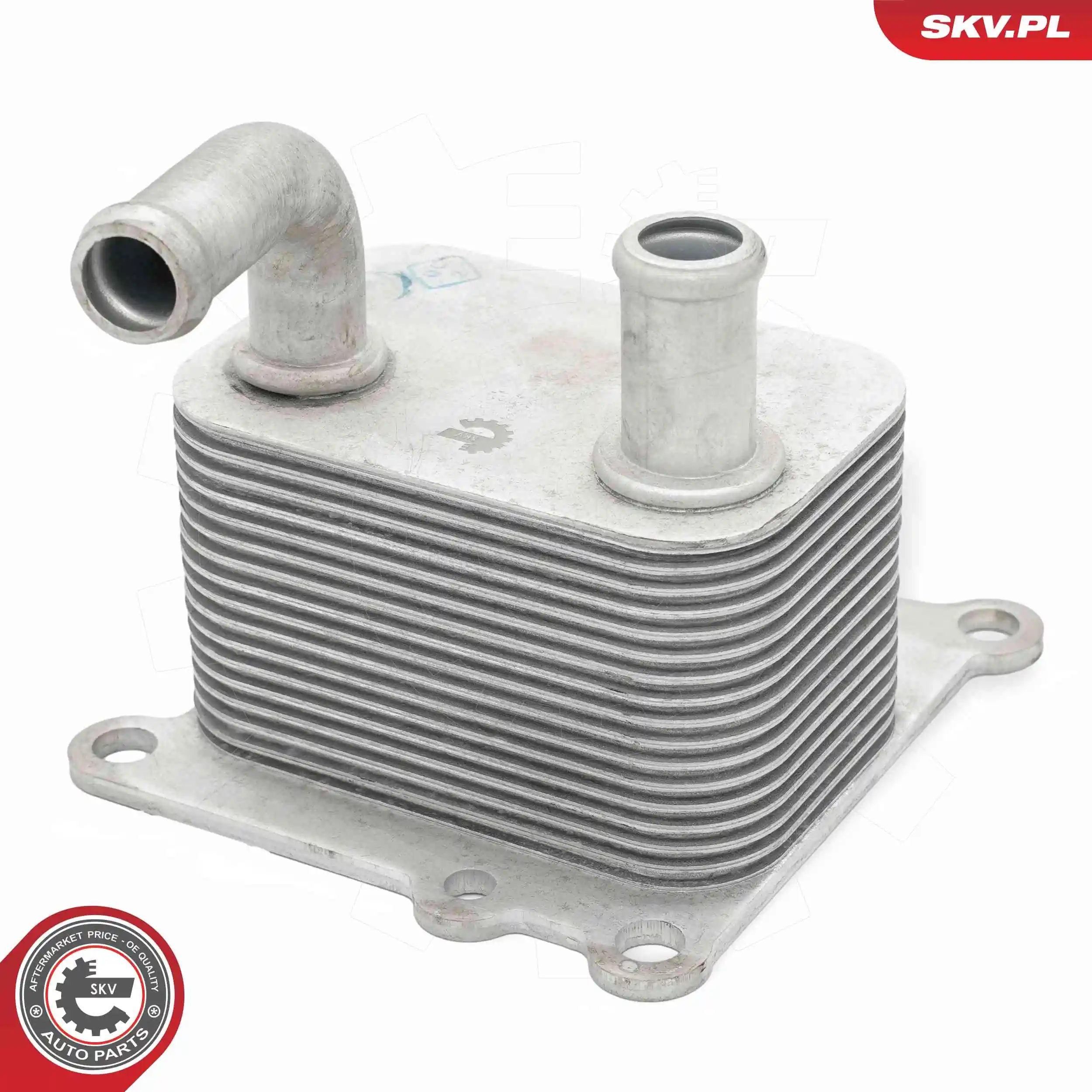 Oil Cooler, engine oil 31SKV358