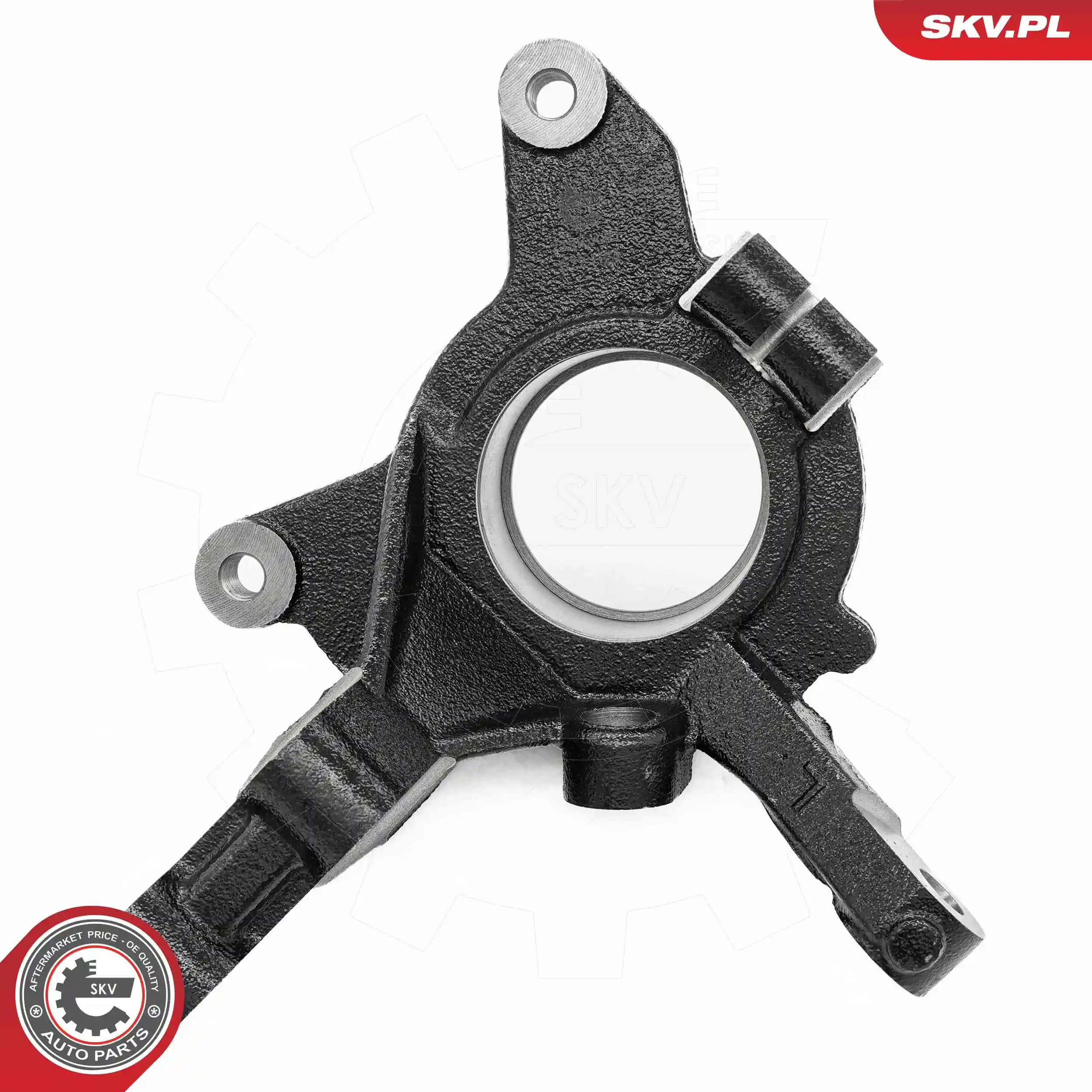 Steering Knuckle, wheel suspension 73SKV081