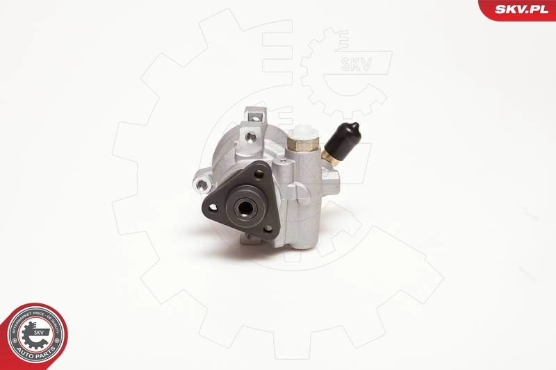 Hydraulic Pump, steering 10SKV055