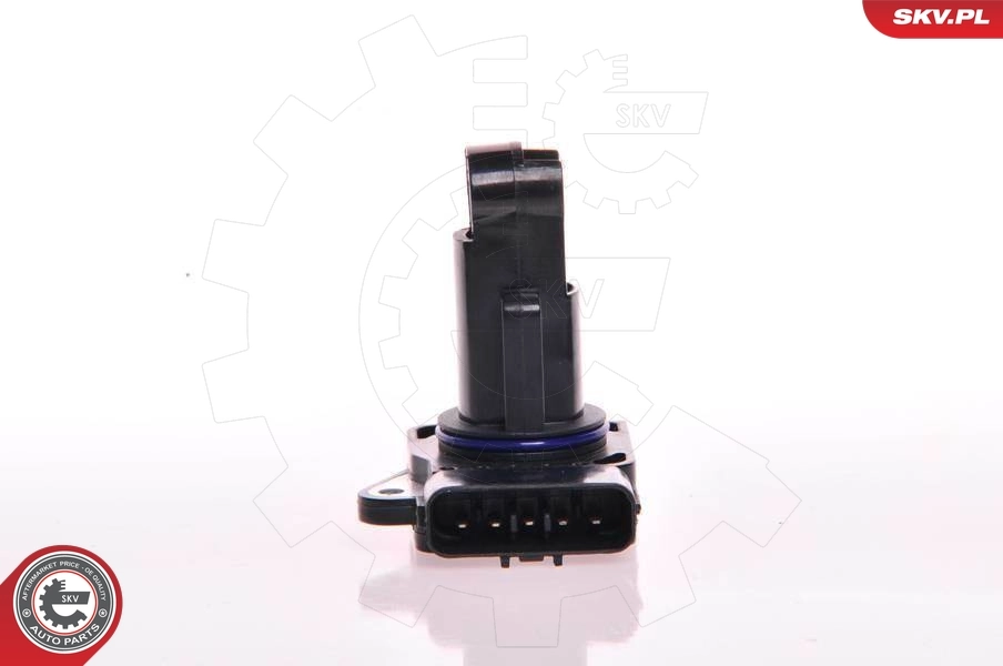 Mass Air Flow Sensor 07SKV108