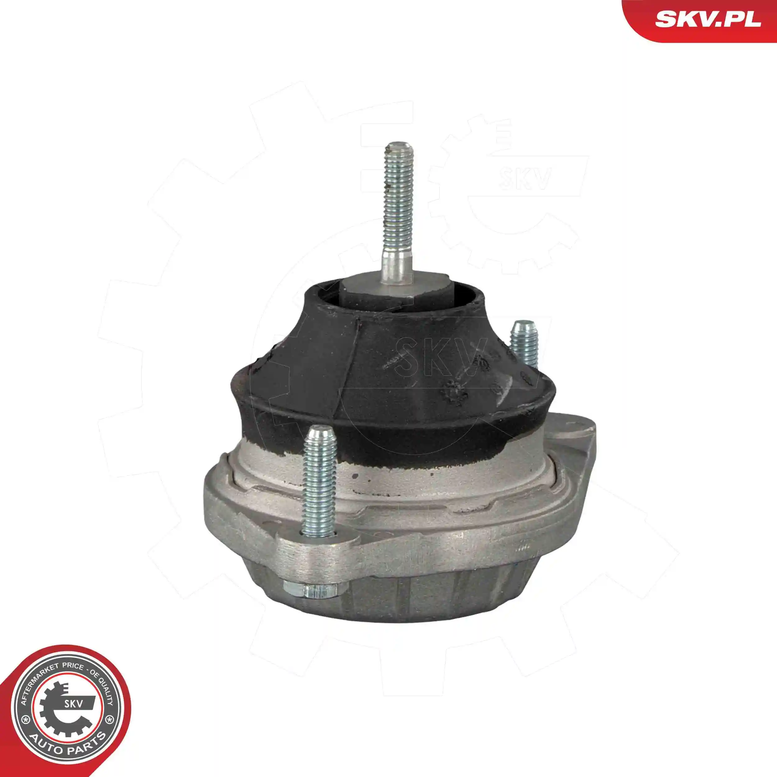 Mounting, engine 75SKV224