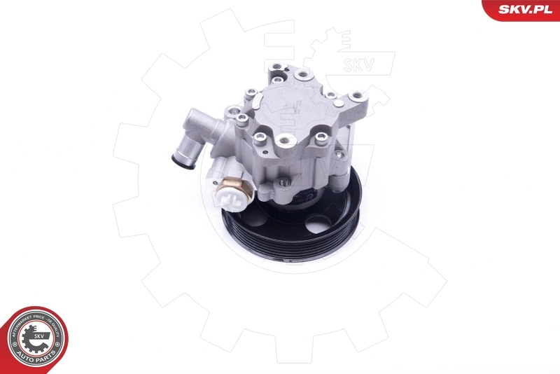 Hydraulic Pump, steering 10SKV271