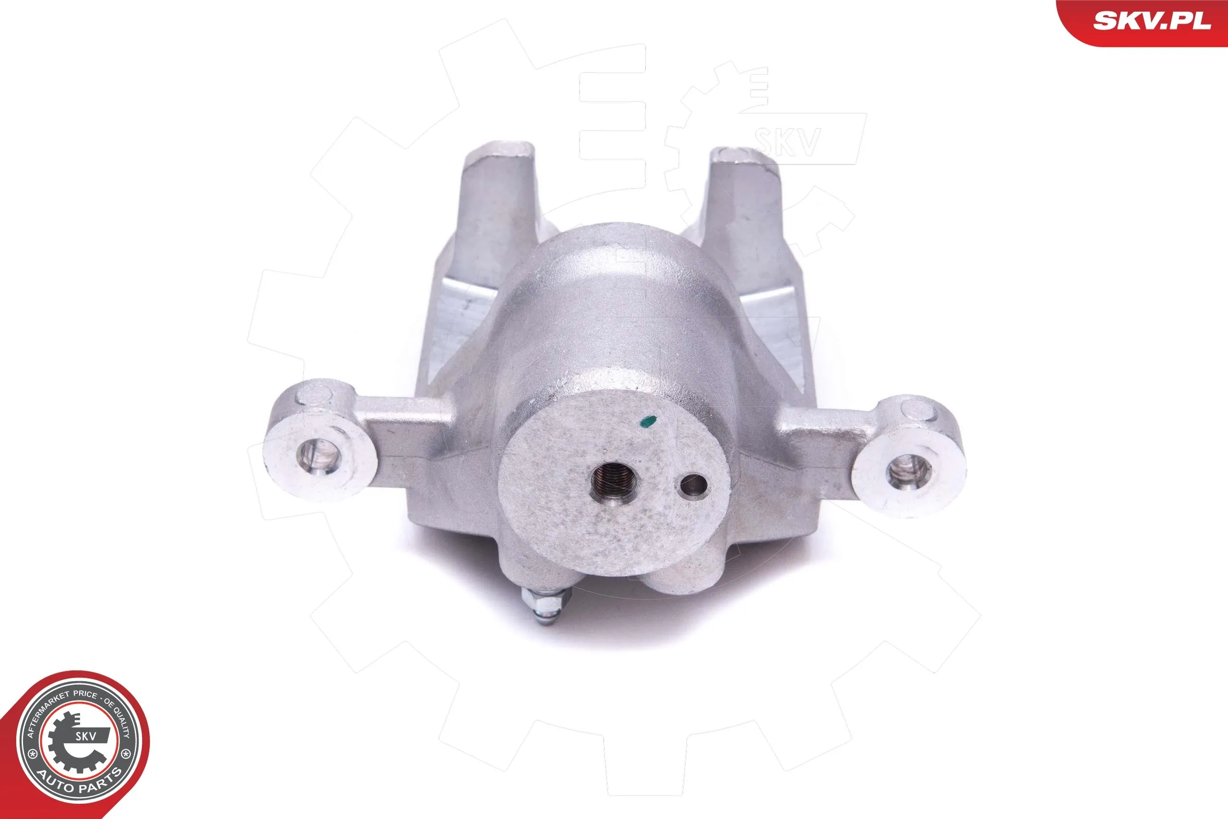 ESEN SKV 56SKV253 Brake Caliper