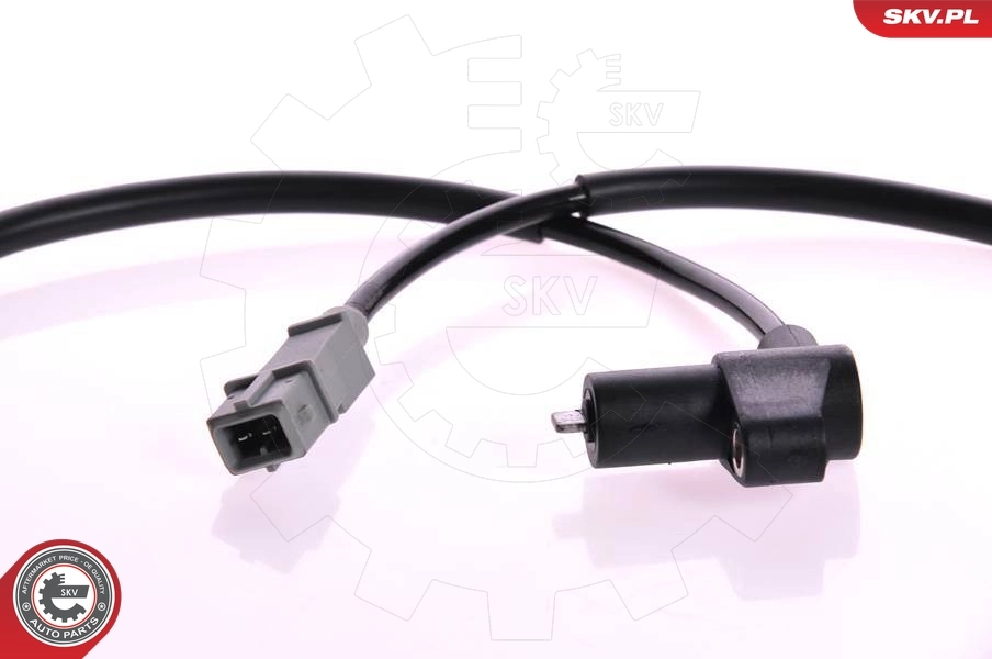 Sensor, wheel speed 06SKV096