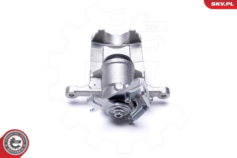 Brake Caliper 42SKV504