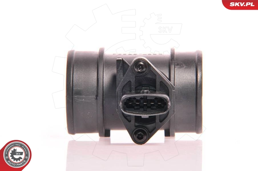 Mass Air Flow Sensor 07SKV017