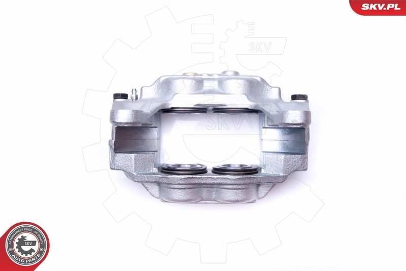 Brake Caliper 42SKV172