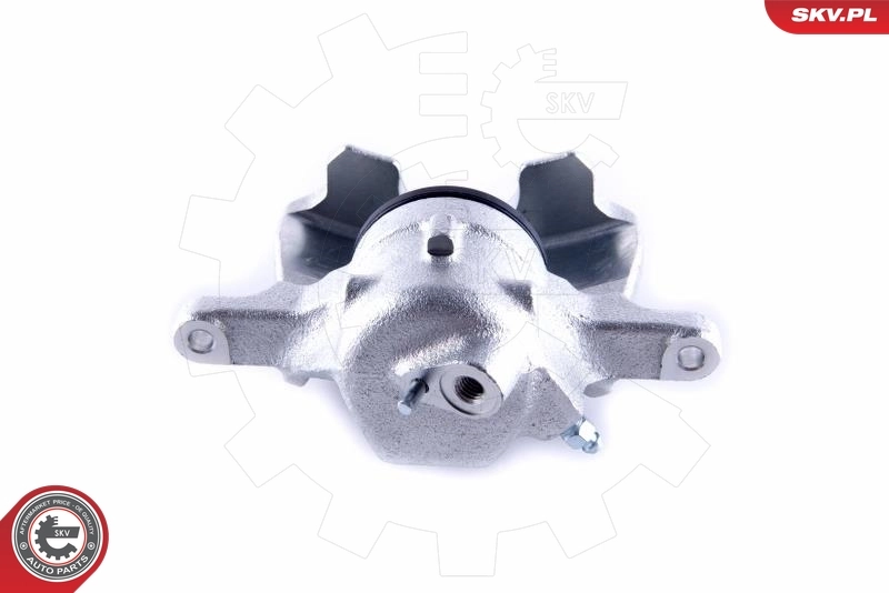Brake Caliper 55SKV391
