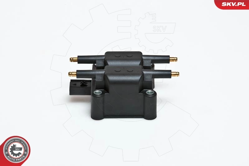 Ignition Coil 03SKV078