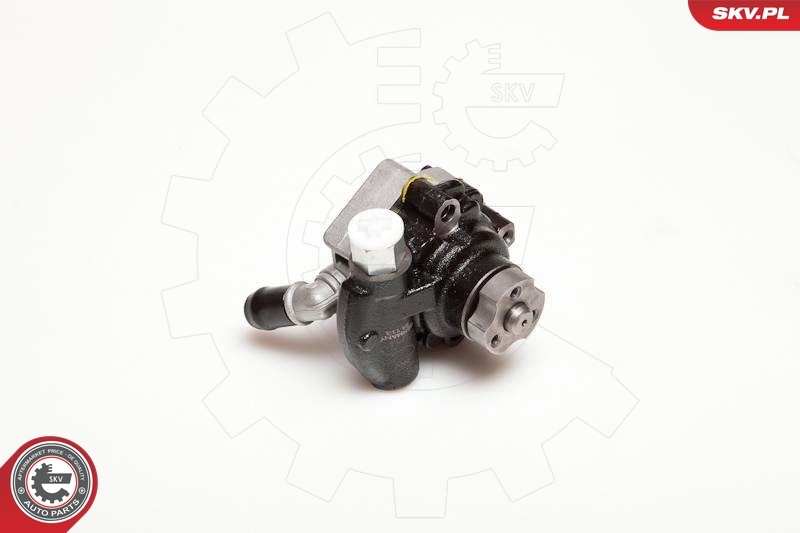Hydraulic Pump, steering 10SKV116