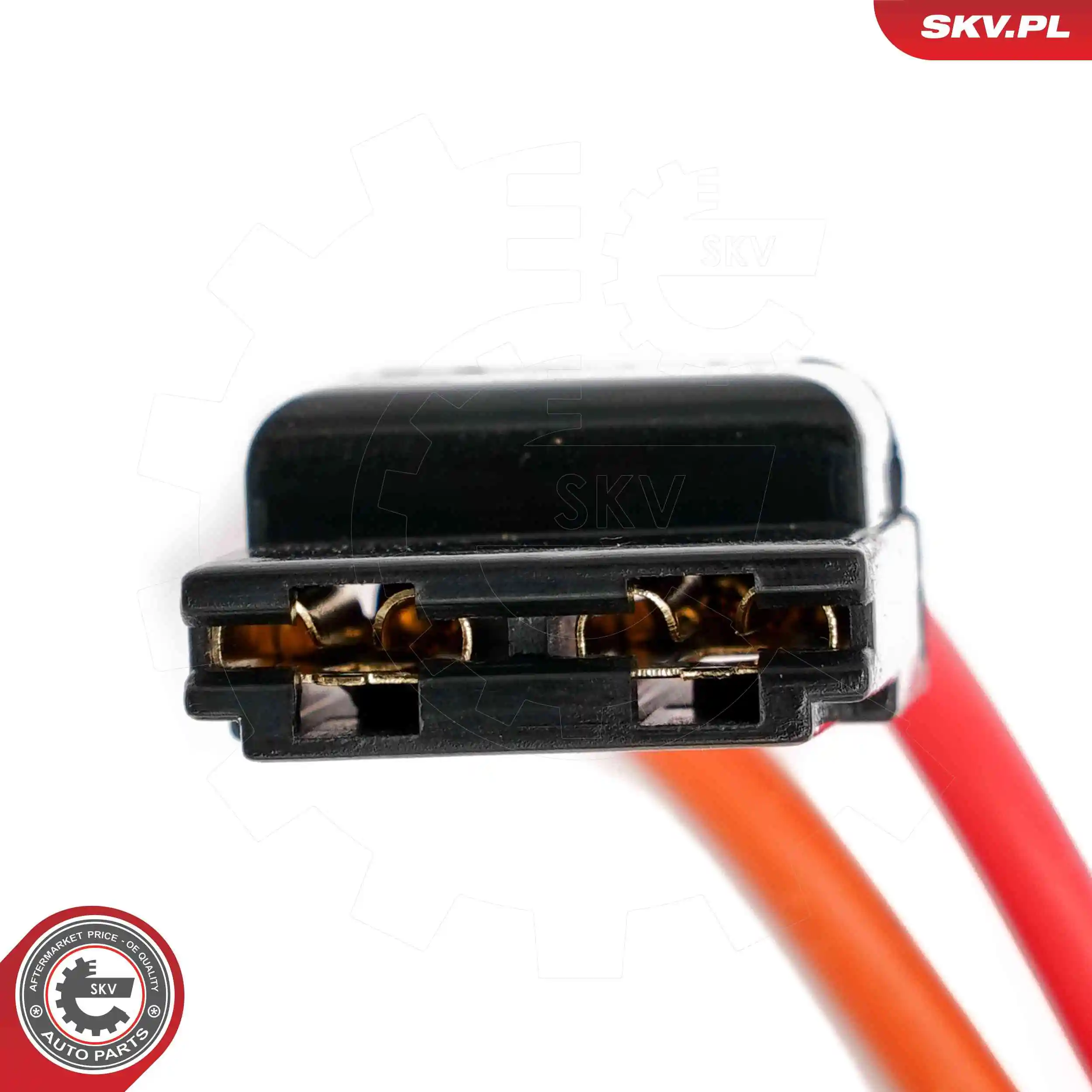 ESEN SKV 65SKV209 Steering Lock