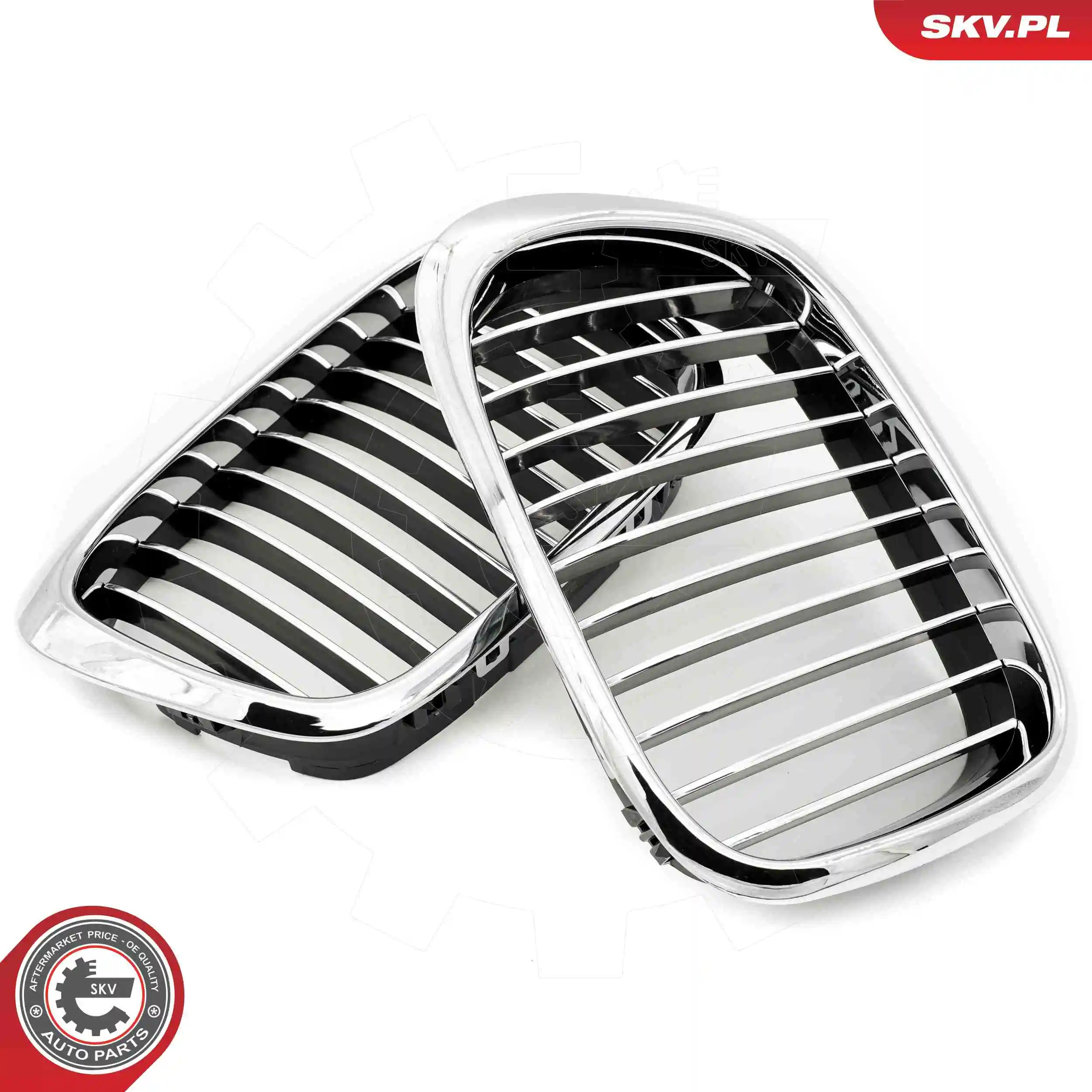 Radiator Grille 66SKV159